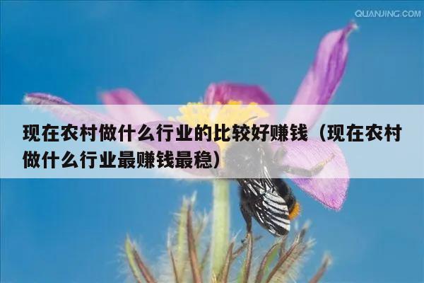 现在农村做什么行业的比较好赚钱（现在农村做什么行业最赚钱最稳）