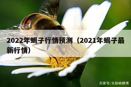 2022年蝎子行情预测（2021年蝎子最新行情）