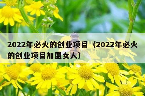 2022年必火的创业项目（2022年必火的创业项目加盟女人）