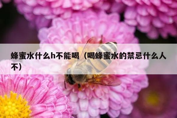 蜂蜜水什么h不能喝（喝蜂蜜水的禁忌什么人不）