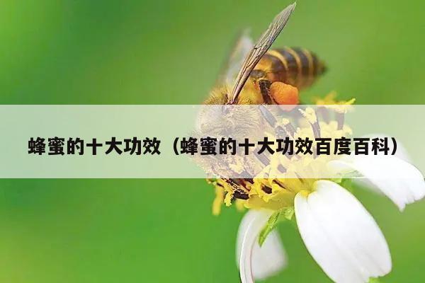 蜂蜜的十大功效（蜂蜜的十大功效百度百科）
