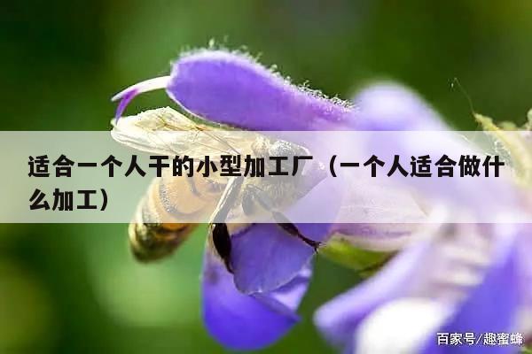 适合一个人干的小型加工厂（一个人适合做什么加工）