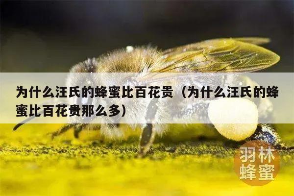 为什么汪氏的蜂蜜比百花贵（为什么汪氏的蜂蜜比百花贵那么多）
