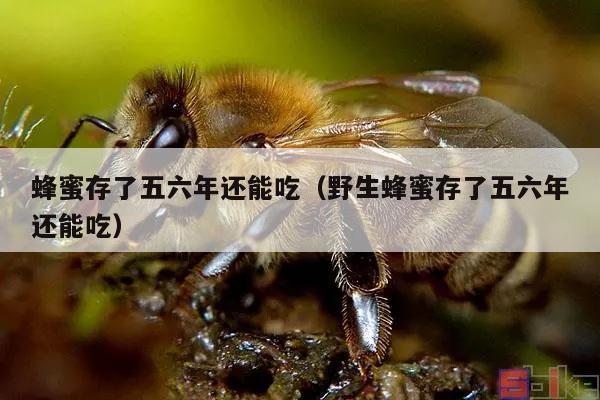 蜂蜜存了五六年还能吃（野生蜂蜜存了五六年还能吃）