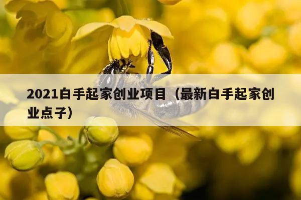 2021白手起家创业项目（最新白手起家创业点子）