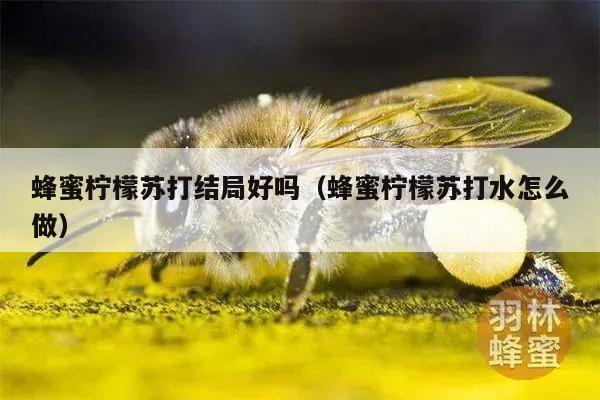 蜂蜜柠檬苏打结局好吗（蜂蜜柠檬苏打水怎么做）