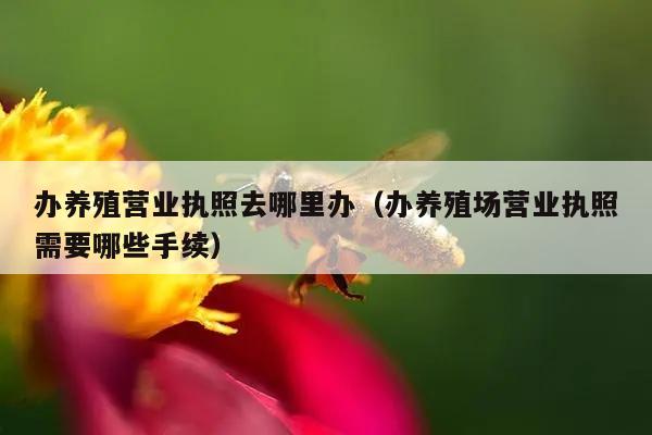 办养殖营业执照去哪里办（办养殖场营业执照需要哪些手续）