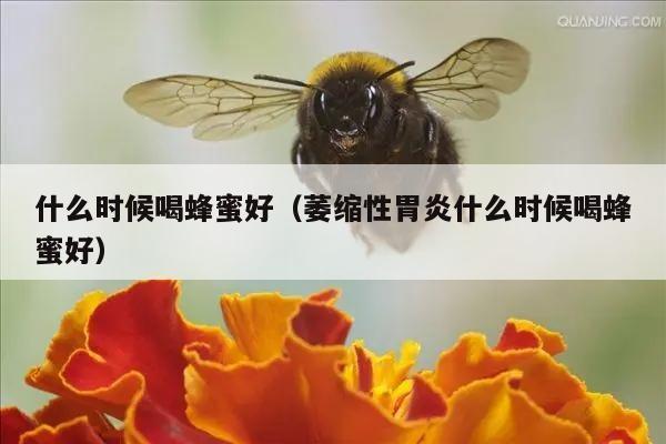 什么时候喝蜂蜜好（萎缩性胃炎什么时候喝蜂蜜好）