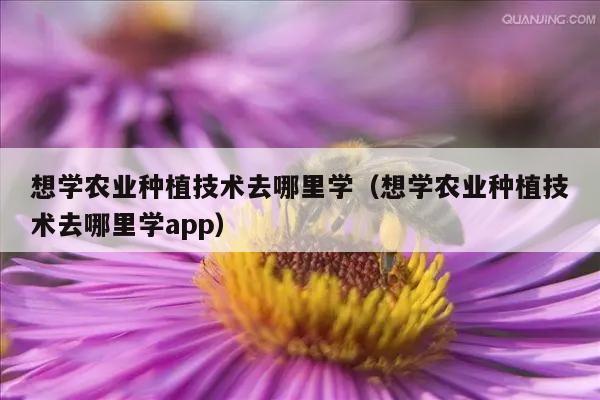 想学农业种植技术去哪里学（想学农业种植技术去哪里学app）