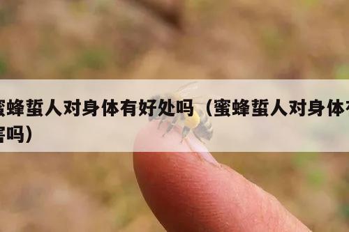 蜜蜂蜇人对身体有好处吗（蜜蜂蜇人对身体有害吗）