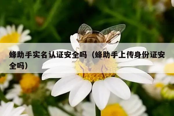 蜂助手实名认证安全吗（蜂助手上传身份证安全吗）