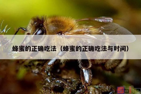 蜂蜜的正确吃法（蜂蜜的正确吃法与时间）