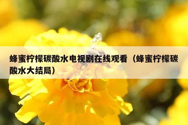 蜂蜜柠檬碳酸水电视剧在线观看（蜂蜜柠檬碳酸水大结局）