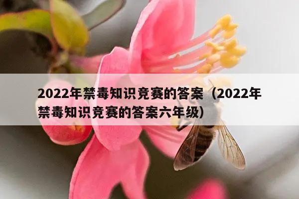 2022年禁毒知识竞赛的答案（2022年禁毒知识竞赛的答案六年级）