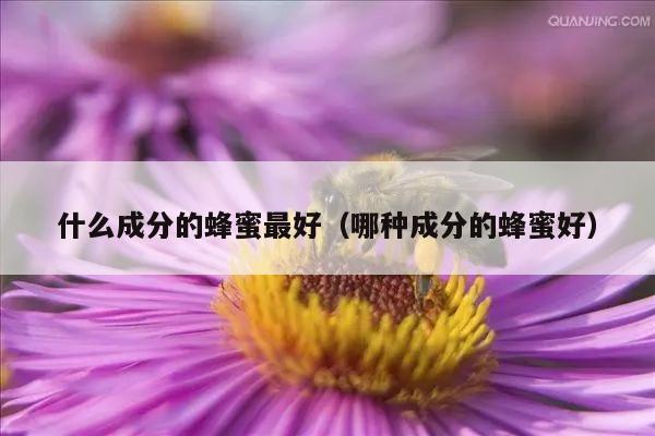 什么成分的蜂蜜最好（哪种成分的蜂蜜好）