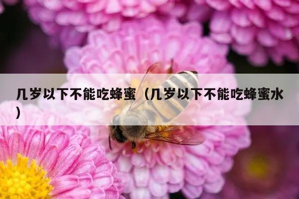 几岁以下不能吃蜂蜜（几岁以下不能吃蜂蜜水）