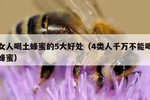 女人喝土蜂蜜的5大好处（4类人千万不能喝蜂蜜）