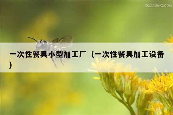 一次性餐具小型加工厂（一次性餐具加工设备）