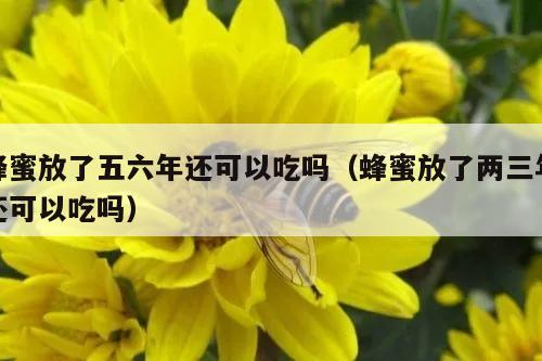 蜂蜜放了五六年还可以吃吗（蜂蜜放了两三年还可以吃吗）