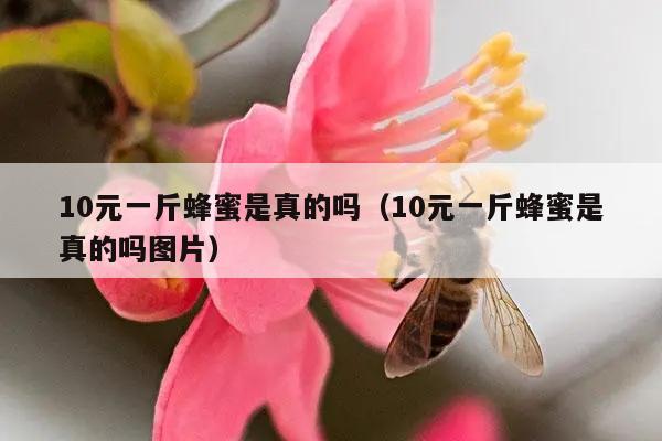 10元一斤蜂蜜是真的吗（10元一斤蜂蜜是真的吗图片）