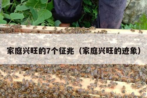 家庭兴旺的7个征兆（家庭兴旺的迹象）