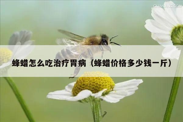 蜂蜡怎么吃治疗胃病（蜂蜡价格多少钱一斤）