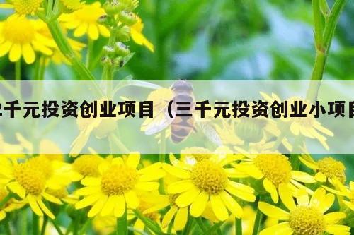 2千元投资创业项目（三千元投资创业小项目）