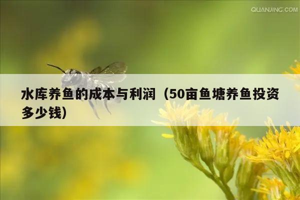 水库养鱼的成本与利润（50亩鱼塘养鱼投资多少钱）
