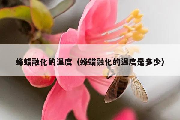 蜂蜡融化的温度（蜂蜡融化的温度是多少）