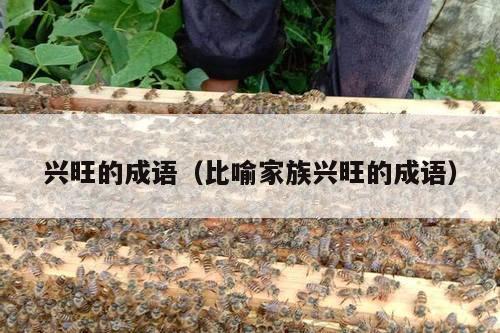 兴旺的成语（比喻家族兴旺的成语）
