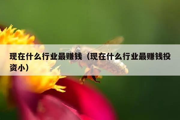 现在什么行业最赚钱（现在什么行业最赚钱投资小）