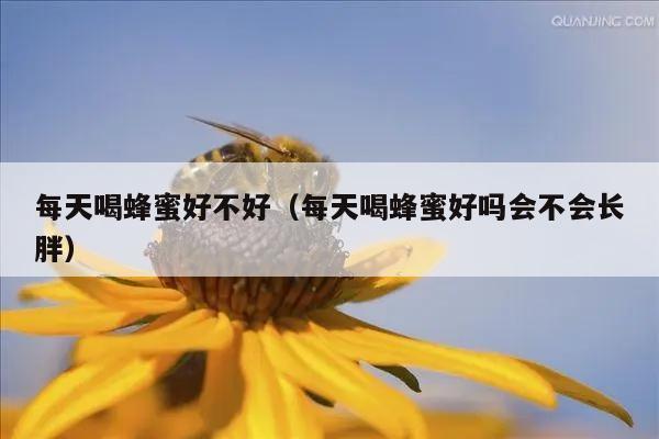 每天喝蜂蜜好不好（每天喝蜂蜜好吗会不会长胖）