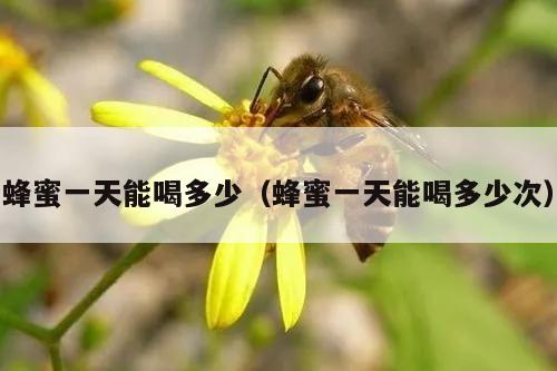 蜂蜜一天能喝多少（蜂蜜一天能喝多少次）