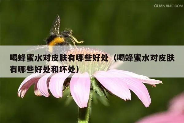 喝蜂蜜水对皮肤有哪些好处（喝蜂蜜水对皮肤有哪些好处和坏处）