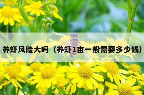 养虾风险大吗（养虾1亩一般需要多少钱）