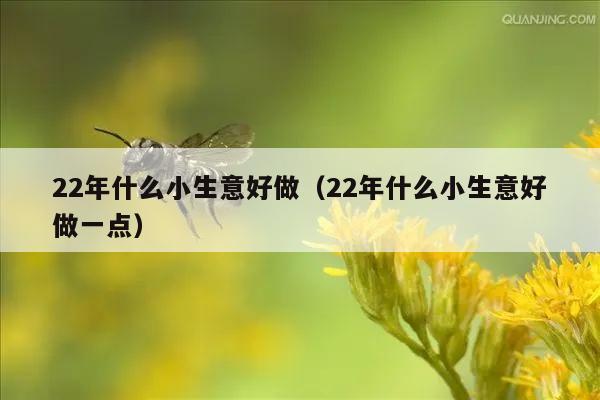 22年什么小生意好做（22年什么小生意好做一点）