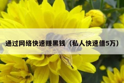 通过网络快速赚黑钱（私人快速借5万）