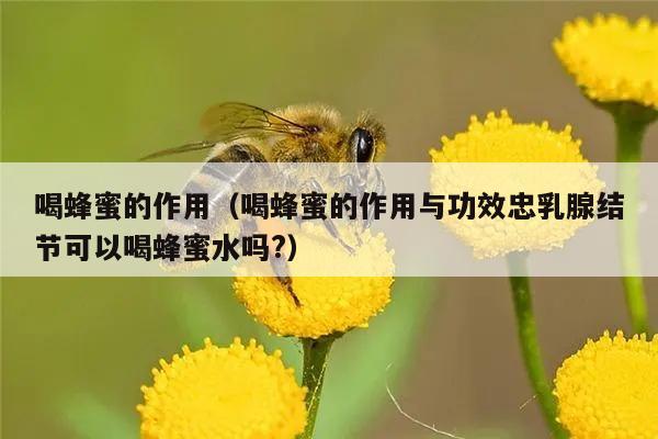 喝蜂蜜的作用（喝蜂蜜的作用与功效忠乳腺结节可以喝蜂蜜水吗?）