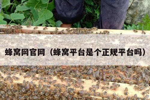 蜂窝网官网（蜂窝平台是个正规平台吗）