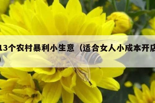 13个农村暴利小生意（适合女人小成本开店）