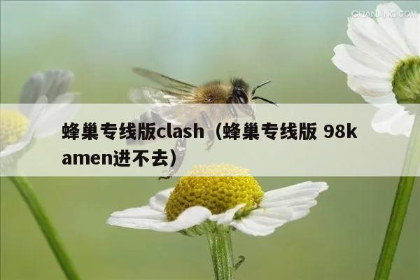 蜂巢专线版clash（蜂巢专线版 98kamen进不去）