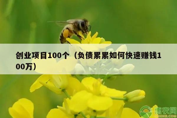 创业项目100个（负债累累如何快速赚钱100万）