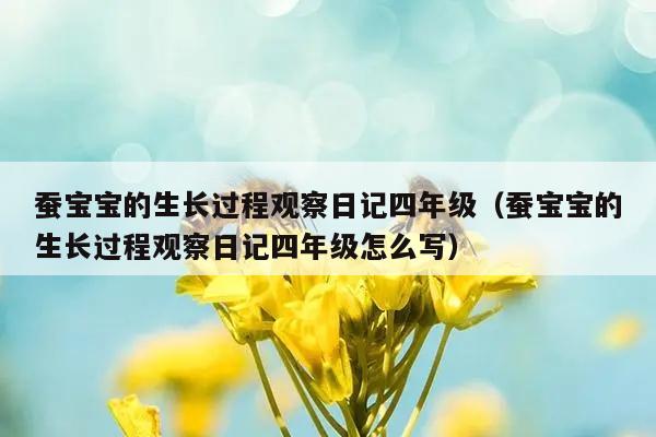 蚕宝宝的生长过程观察日记四年级（蚕宝宝的生长过程观察日记四年级怎么写）