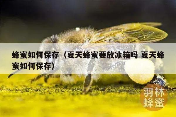 蜂蜜如何保存（夏天蜂蜜要放冰箱吗 夏天蜂蜜如何保存）