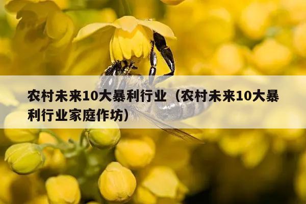 农村未来10大暴利行业（农村未来10大暴利行业家庭作坊）