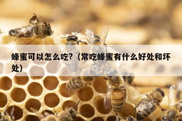 蜂蜜可以怎么吃?（常吃蜂蜜有什么好处和坏处）