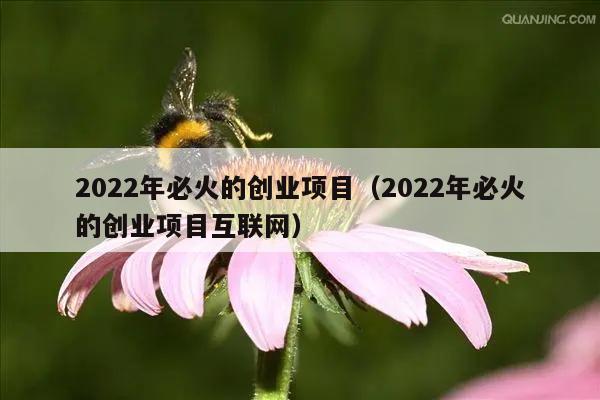 2022年必火的创业项目（2022年必火的创业项目互联网）