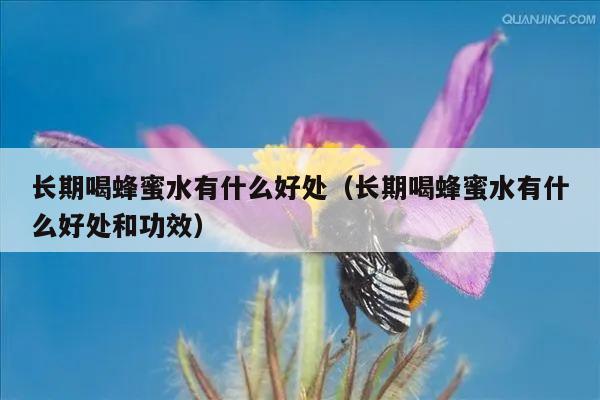 长期喝蜂蜜水有什么好处（长期喝蜂蜜水有什么好处和功效）