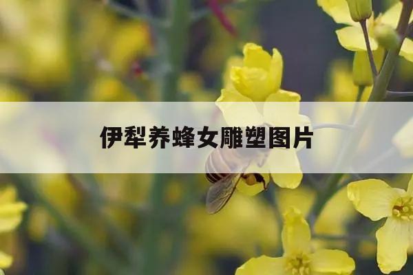 伊犁养蜂女雕塑图片 伊犁养蜂女雕塑图片高清