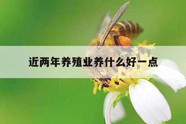 近两年养殖业养什么好一点 近两年养殖业养什么好一点的鱼
